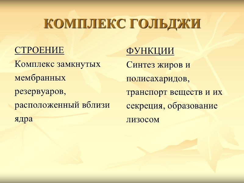 КОМПЛЕКС ГОЛЬДЖИ СТРОЕНИЕ Комплекс замкнутых  мембранных  резервуаров,  расположенный вблизи  ядра